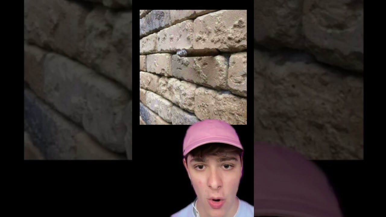 one of the most confusing pictures ever