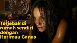 Download lagu Terjebak di rumah sendiri dengan Harimau Ganas!!! Alur Cerita Film mp3