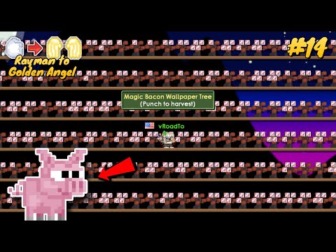 PIGLET LEASH OR NOT? HARVETING 10,200 MAGIC BACON TREE !! | Rayman to Golden Angel #14 | Growtopia
