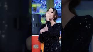 Download lagu CUKUP DADI CERITO - DEFARINA INDRA - OM ADELLA mp3