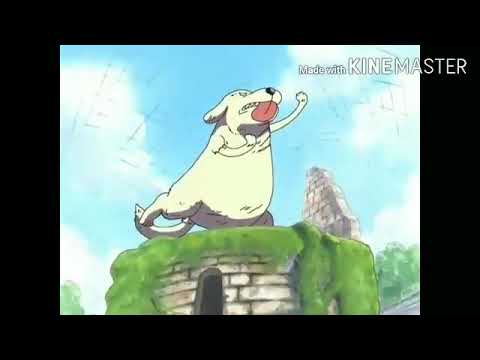 Zoro vs god priest || one piece