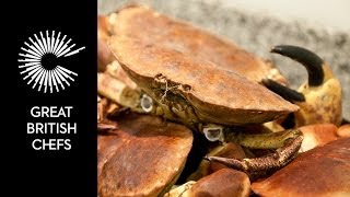How to remove meat from a crab