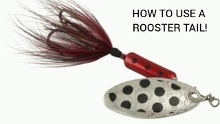 How To Use A ROOSTER TAIL!