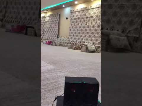 ቅጅው ከፍቅር ባህር ጭልፈሽ