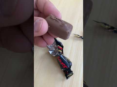 #mars #chocolate #hard #choco #bar #minipack #celebration #box #gift
