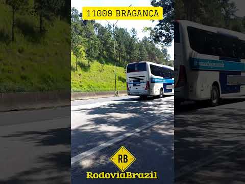 DE SÃO PAULO PARA ÁGUAS DE LINDÓIA NO KM 49 DA FERNÃO DIAS #rodoviabrazil #bus #shorts