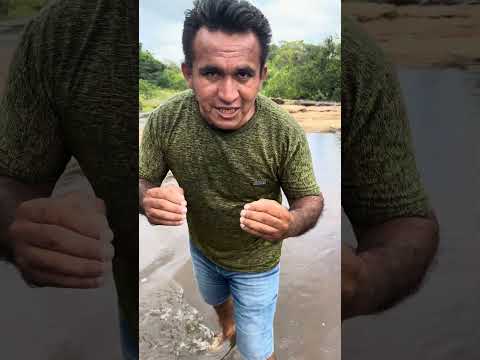Rio do cocal dos Alves