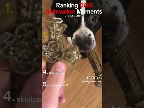 Skinwalker Dog