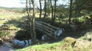 High Summer-Van Morrison