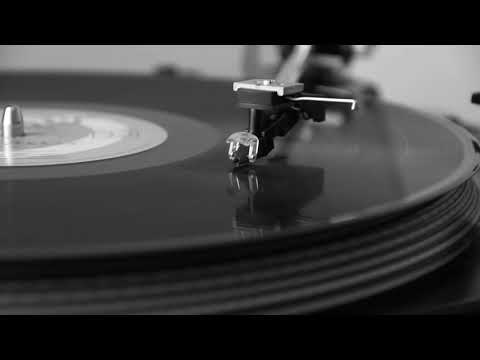 Şiir Kokan Kadın - Şarkılara Sordum | Cover (Zeki Müren)