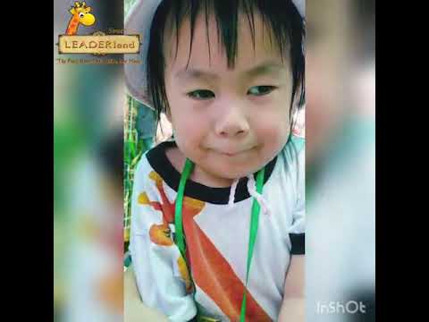 Excursions form a vital part of a child’s early education