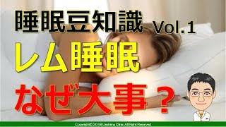 【簡単】睡眠豆知識　Part 1 レム睡眠、なぜ大事？【解説】