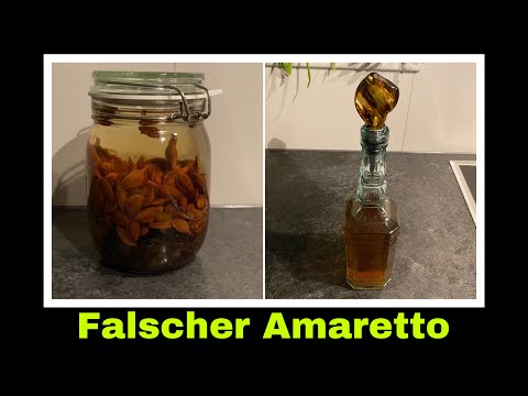 falscher Amaretto aus Pflaumenkernen | Kerne verwerten