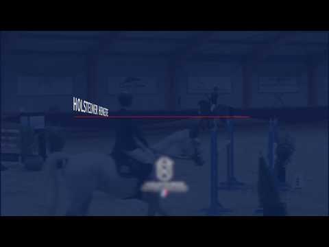 Turnierimpressionen: Million Dollar unter Frank Schuttert