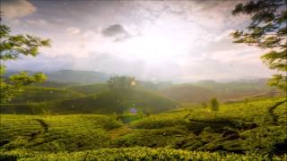 Celtic Woman -  The Hills of Ireland ~ Celtic Music ~ EpicSound Music
