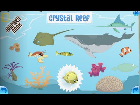 download lagu mp3 mp4 Animal Jam Crystal Reef, download lagu Animal Jam Crystal Reef gratis, unduh video klip Download Animal Jam Crystal Reef Mp3 dan Mp4 Popular Gratis