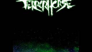 Terrorhorse - Packet Flier