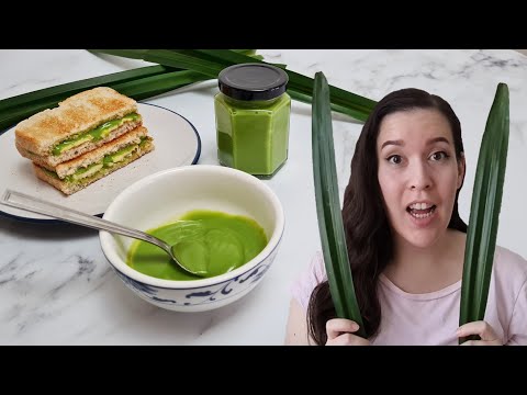 How To Make Easy Pandan Kaya Recipe [The Silkiest, Smoothest Homemade Kaya]