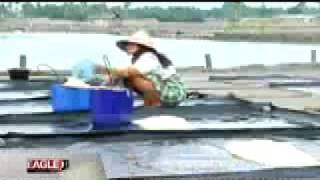 Download lagu EA2011- finalis EADC di Metro TV mulai 10 - 21 Oktober.mp4 mp3