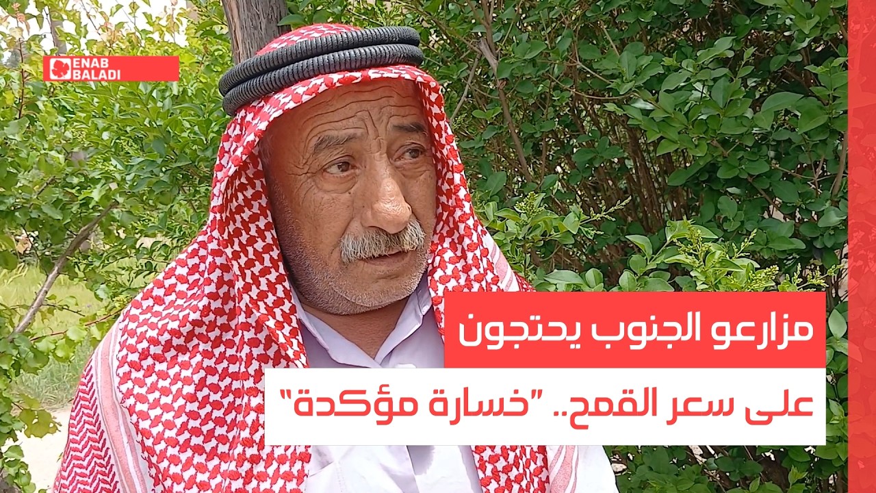 مزارعو الجنوب يحتجون على سعر القمح.. ”خسارة مؤكدة“