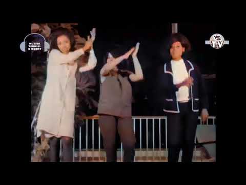 The Marvelettes - Too Many Fish In The Sea (Live Europe 1965) [Colorized]