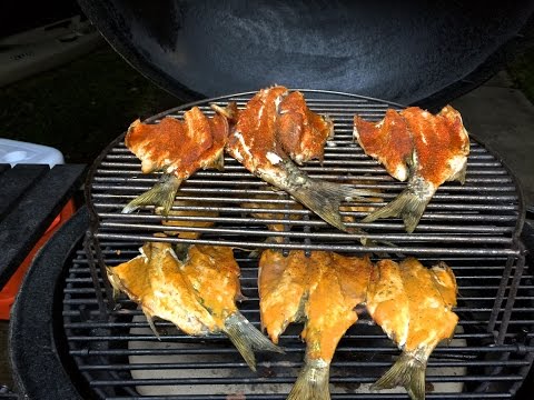 Smoked Mullet Recipes aka "Biloxi Bacon"