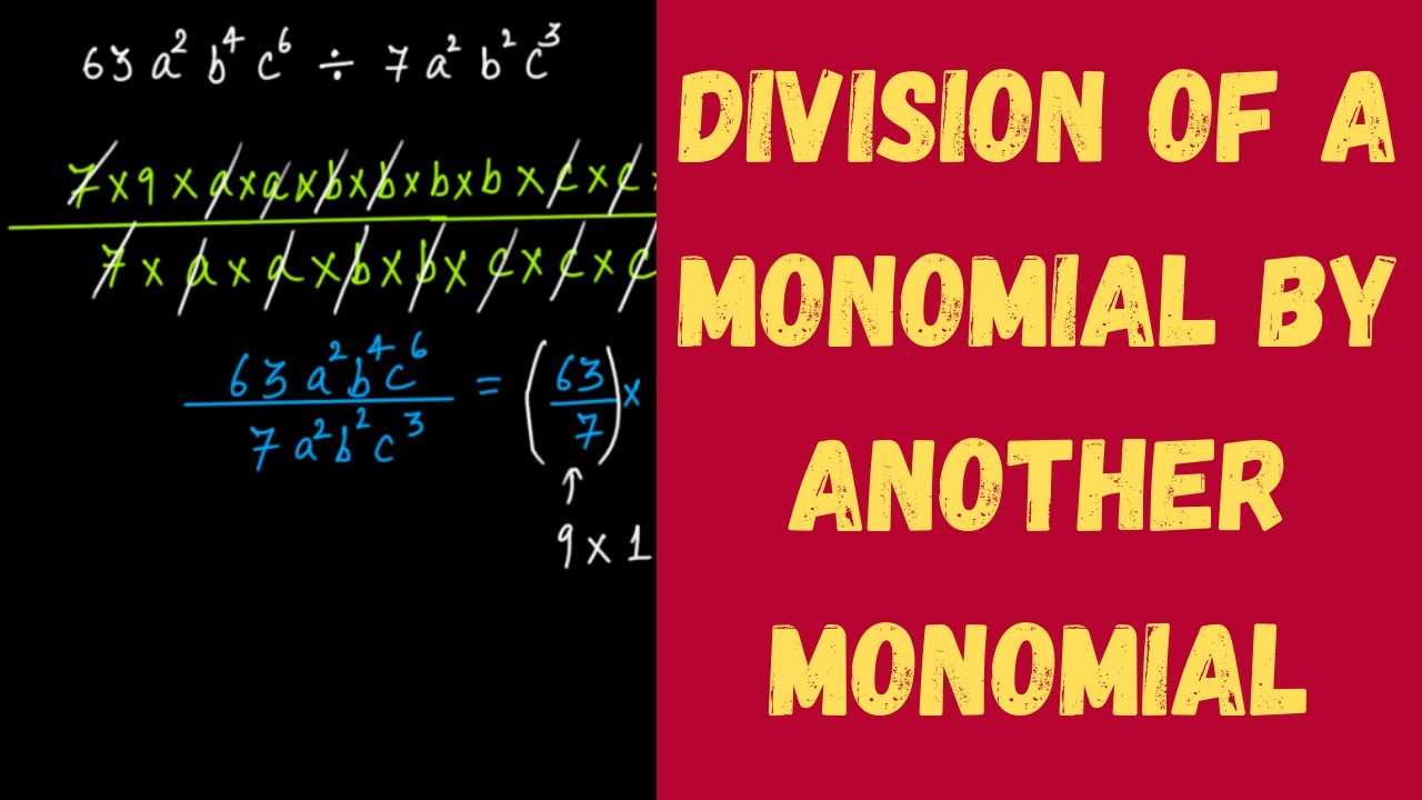 Division of a Monomial by another Monomial || Factorisation || Grade 8