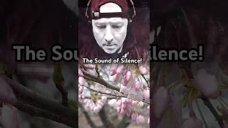 Download lagu Disturbed! The Sound of Silence! #music #rock #shotrs #trending #viral #nhedtv mp3