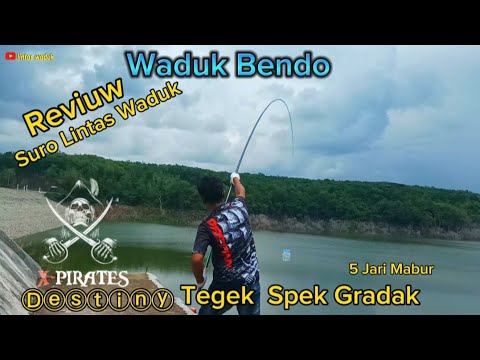 REVIUW TEGEK TERBARU DARI X. Pirates DESTINY