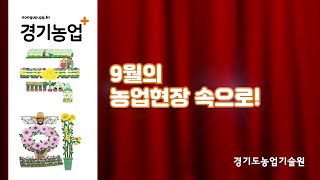 (이달의 농업현장) 9월의 농업현장 속으로!
