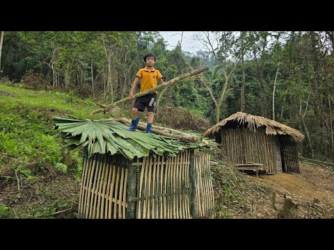 bamboo house in the forest new life in the forest orphan boy khai builds toilet out of bamboo