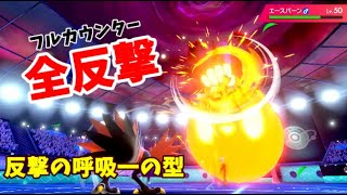 反撃の一撃決めるぜ！フルカウンターサンダー【ポケモンソードシールド】