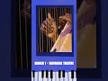 2025 Biamp Portland Jazz Festival: TRANSLINEAR LIGHT: The Music of Alice Coltrane | March 1