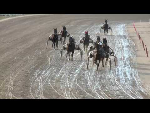 2017.03.18. 6. futam - CSAPODÁR DÍJ