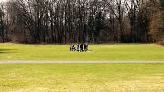 Nice Saxophone Party in the Park