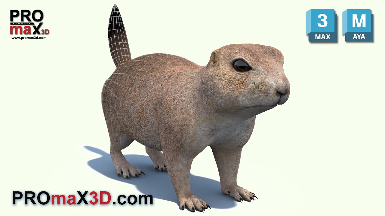 Pr&auml;riehund 3D Modell