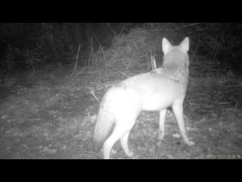 2022 1111 073557 000050