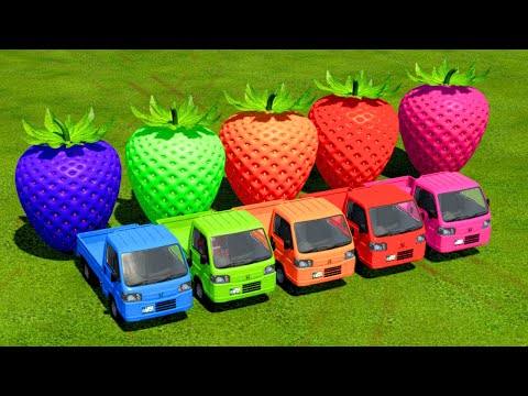 TRANSPORT GIANT COLORED STRAWBERRY WITH PICKUP - Farming Simulator 22