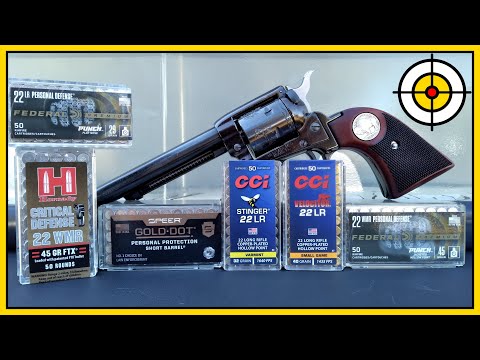 .22lr vs .22 Magnum! 💥Rimfire AMMO Roundup!💥