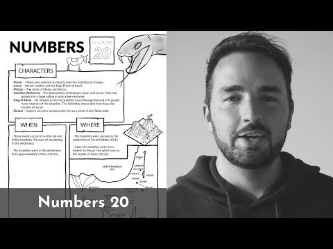 Numbers 20 Summary: A Concise Overview in 5 Minutes