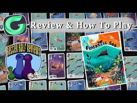 Fintastic Sea Review & How to Play