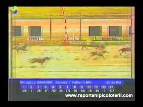 Resumen La Rinconada Sabado 26/02/2011