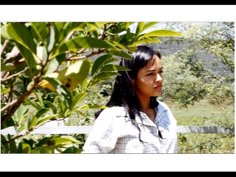 Banda Paixão di Vaqueiro - Prenda Minha (Clipe Oficial)