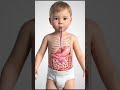 Baby Eating Bubble Gum