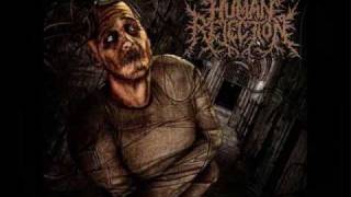 Human Rejection -   Zombified Society