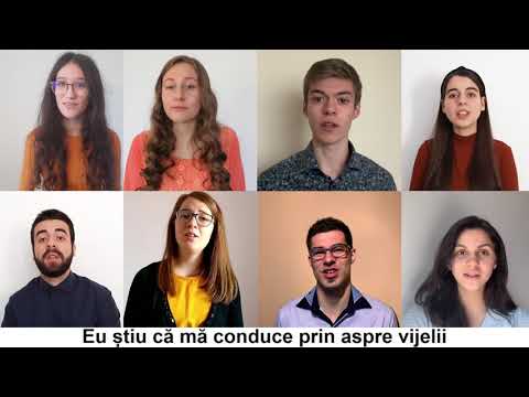 Betel Worship - Slujesc pe Salvatorul