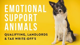 Emotional Support Animals Rules