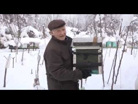 Boja meda ep.45 15.01.2019. - Opasnosti koje vrebaju pčele u zimskom periodu