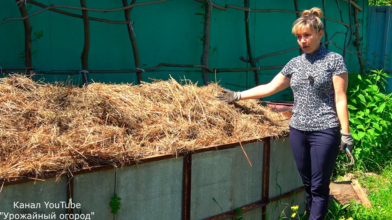ЭТО ДОЛЖЕН ЗНАТЬ КАЖДЫЙ! ЛУЧШЕЕ УДОБРЕНИЕ СВОИМИ РУКАМИ!