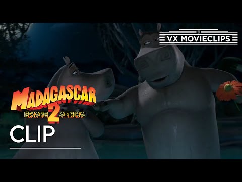 Moto Moto and Gloria | Madagascar: Escape 2 Africa (2008) | VX Movieclips